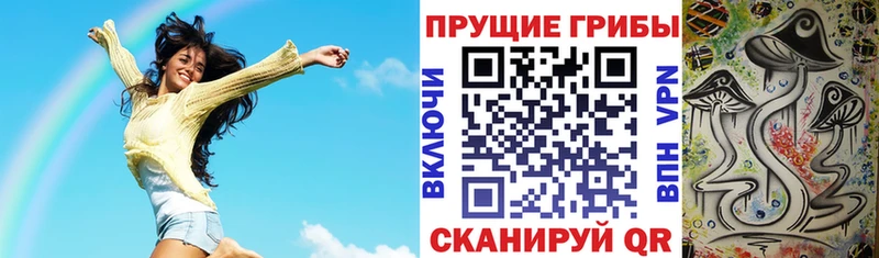 Галлюциногенные грибы мицелий  Прохладный 